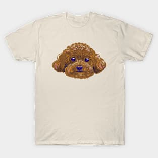 Cute poodle T-Shirt